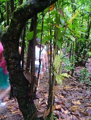DSCF8919.JPG