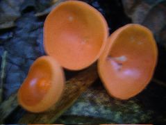 DSCF8921.JPG
