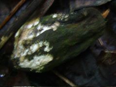 DSCF8922.JPG