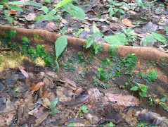 DSCF8927.JPG