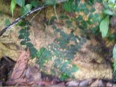 DSCF8928.JPG