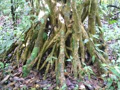 DSCF8929.JPG