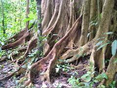 DSCF8930.JPG