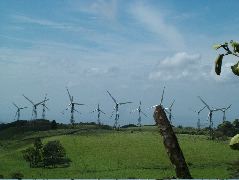 DSCF8623.JPG