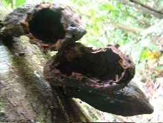 DSCF8931.JPG