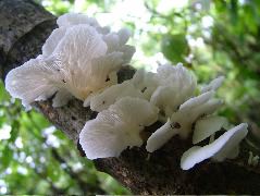 DSCF8933.JPG