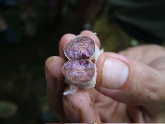 DSCF8940.JPG