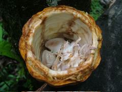 DSCF8942.JPG