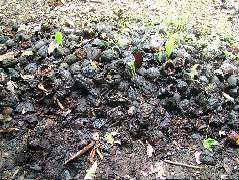 DSCF8949.JPG