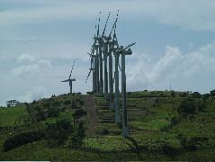 DSCF8625.JPG