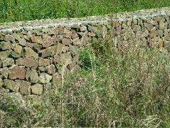 DSCF8626.JPG