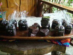 DSCF8964.JPG