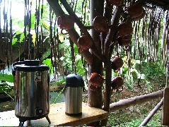 DSCF8968.JPG