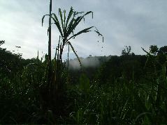 DSCF8974.JPG