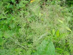DSCF8977.JPG