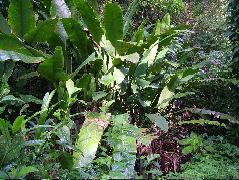 DSCF8978.JPG