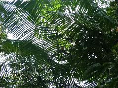 DSCF8983.JPG