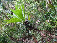 DSCF8984.JPG