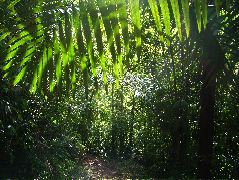 DSCF8986.JPG
