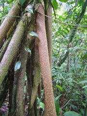 DSCF8987.JPG