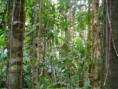 DSCF8988.JPG