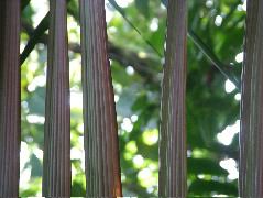 DSCF8992.JPG