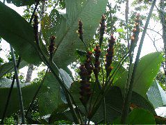 DSCF8995.JPG