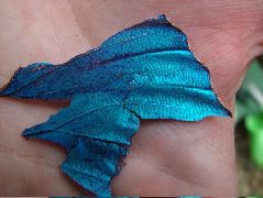 DSCF8998.JPG