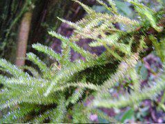 DSCF9005.JPG