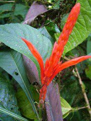DSCF9006.JPG