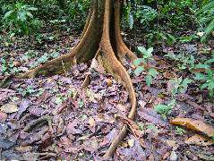 DSCF9008.JPG