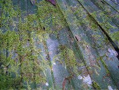 DSCF9011.JPG