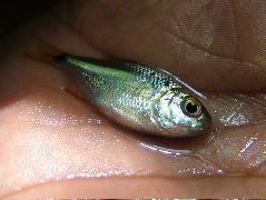 DSCF9014.JPG