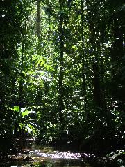 DSCF9015.JPG