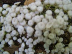 DSCF9023.JPG