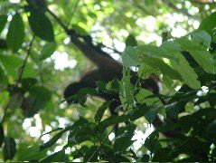DSCF9026.JPG