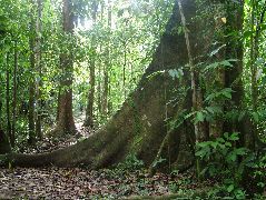DSCF9028.JPG