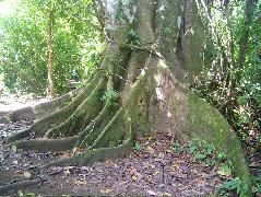 DSCF9029.JPG