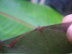 DSCF9032.JPG