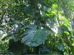 DSCF9034.JPG