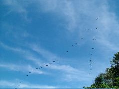 DSCF9038.JPG