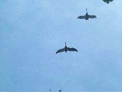 DSCF9039.JPG