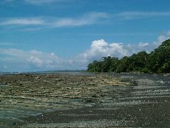 DSCF9040.JPG