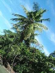 DSCF9041.JPG