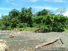 DSCF9042.JPG