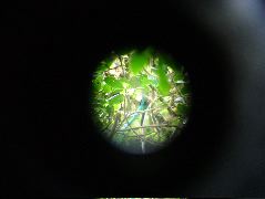 DSCF8634.JPG