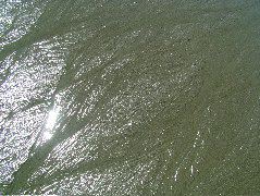 DSCF9043.JPG