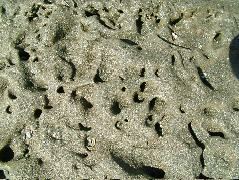 DSCF9045.JPG