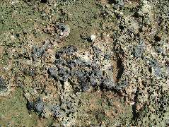 DSCF9046.JPG