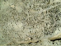 DSCF9047.JPG